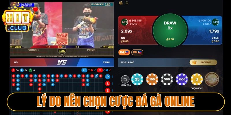 Lý do nên chọn cược đá gà online